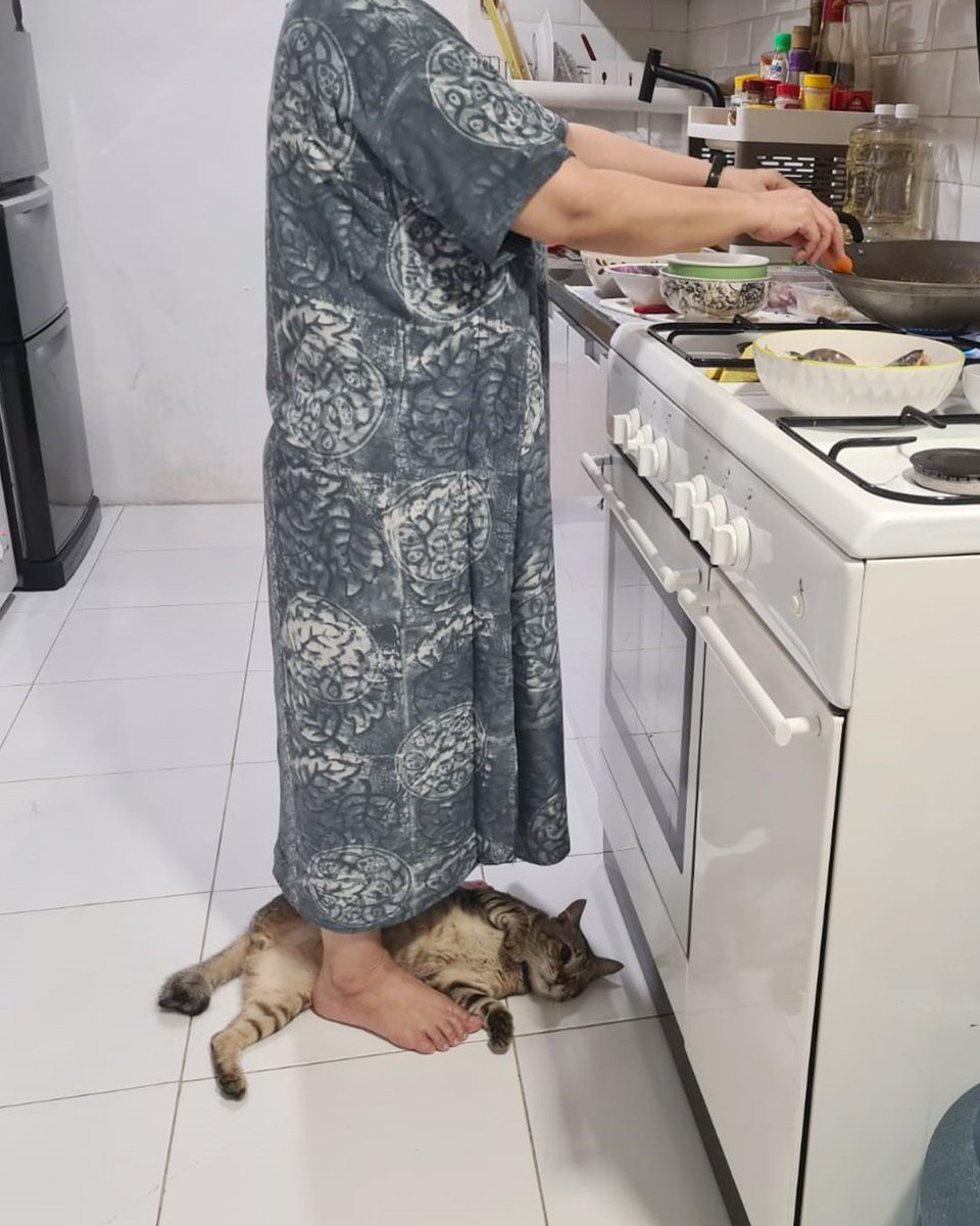 Intsiawati's tweet photo. Oyen but but ...
Selalu nempel dimanapun...🥰
nemenin masak bihun goreng ...😂

#IntsiawatiAyus #dpri https://t.co/gGj7l14tYu