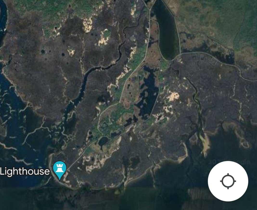 Bob Ellis tweet media