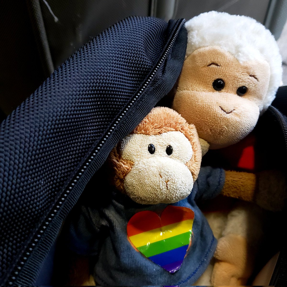 TravelingMocha's tweet photo. Wheels down in Philly and through baggage claim. Next up: The drive home. I still have more SDCC 2023 photos, and I'll post them as soon as I can. #MonkeyBusiness #SDCC #comiccon #afterSDCC #HomewardBound #SANtoPHL https://t.co/ywHRTbCS3K