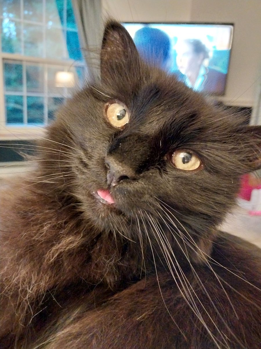 KathyFlint2's tweet photo. @firelordzukitty pffffft! https://t.co/MJKfyX7KPl