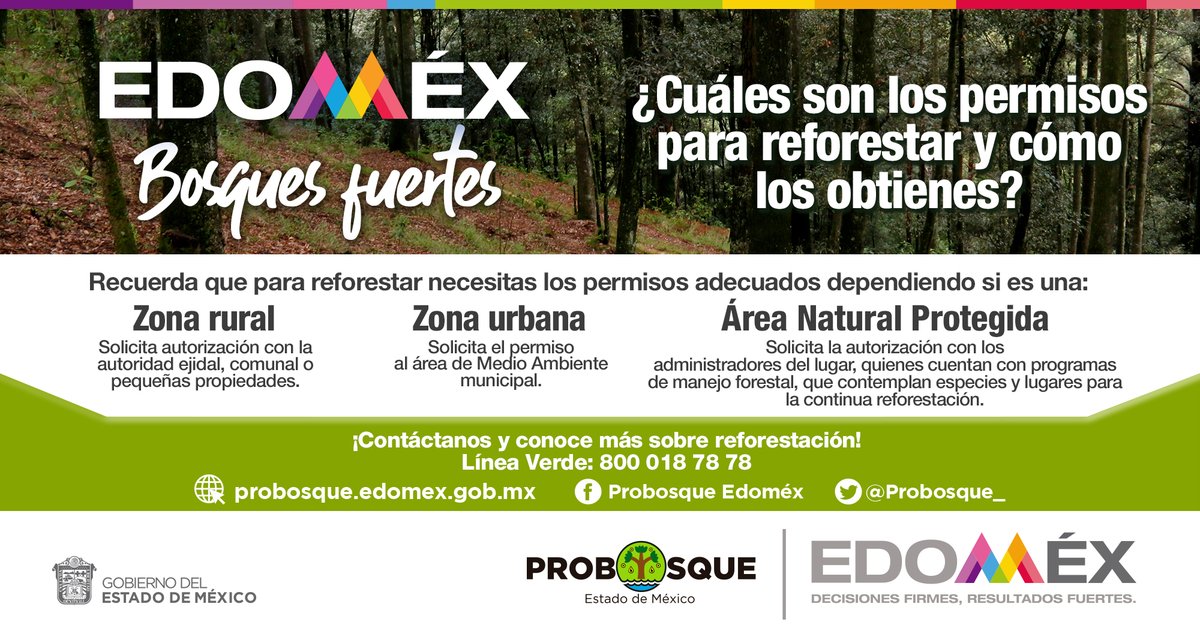 CecytemToluca2's tweet photo. ¿Sabes cómo plantar un árbol? Aquí te compartimos siete pasos básicos que puedes seguir para hacerlo de forma correcta. Súmate a nuestra campaña de #Reforestación2023 en el #Edoméx y ayúdanos a seguir plantando #BosquesFuertes. https://t.co/8yOrZTtOhF