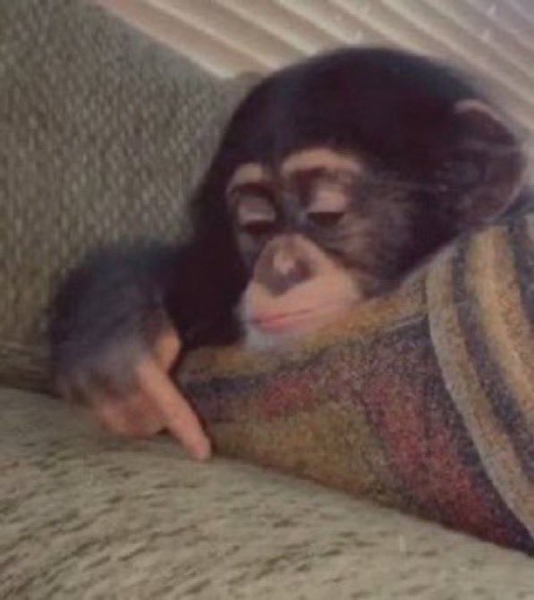 dps que escrevi as características do querido do meu sub nao quero mais saber de nenhum que não bata