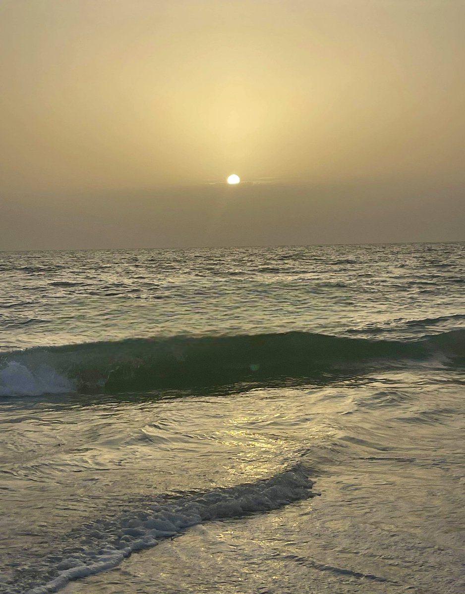 FLORIDA SAHARAN DUST SUNSET! 🐪 
Largest batch of the year above Marco Island this evening. Shipped in from Africa 6000 miles away! Credit: @WINKNews viewer Randall P. @stormhour