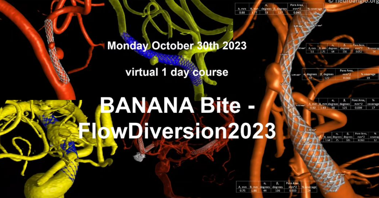eytanraz's tweet photo. Save the date!  Monday October 30th full day CME course #BananaBite #FlowDiversion2023 https://t.co/FbTgeAZSNW