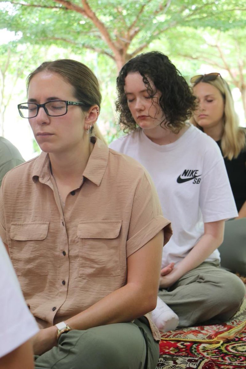 DT Dept Melksham Oak tweet media