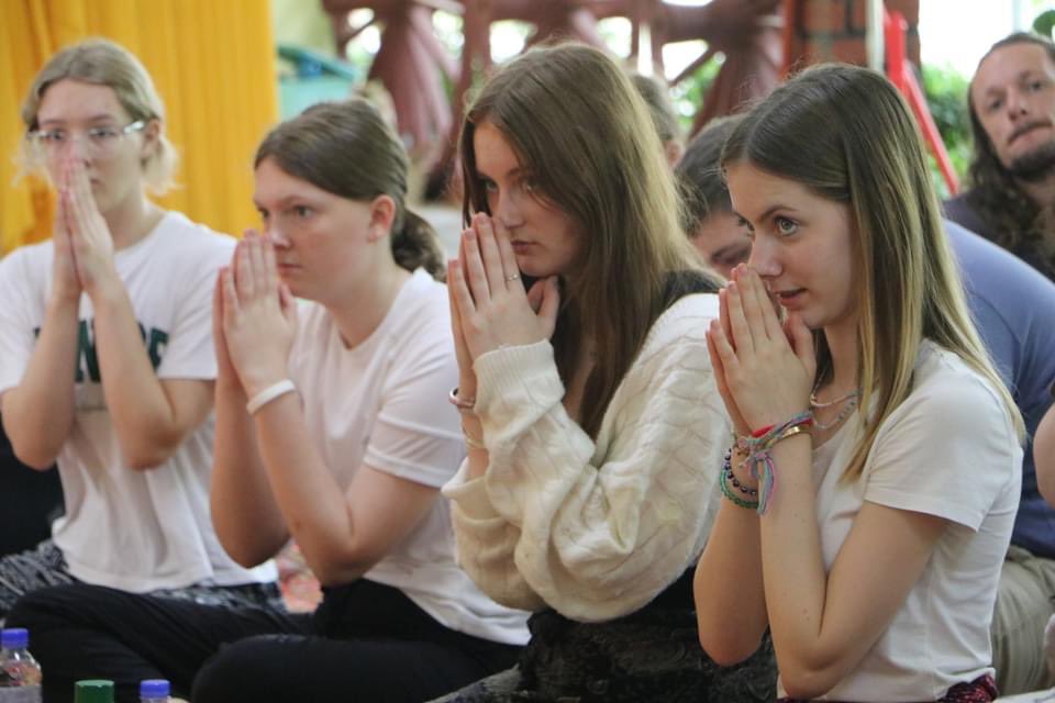 DT Dept Melksham Oak tweet media