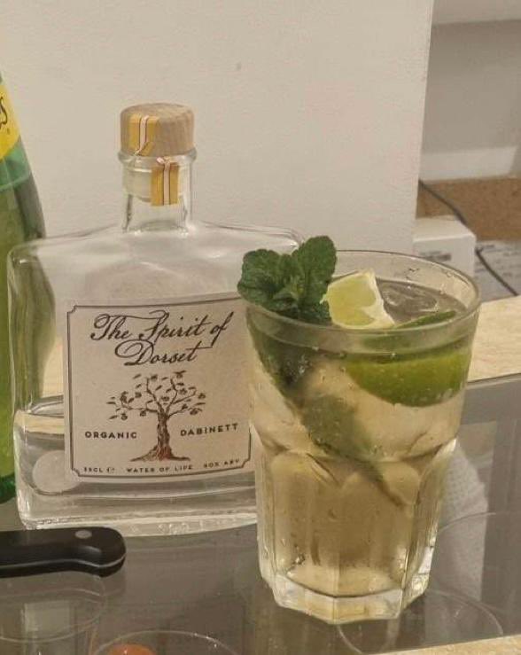 Nice of Simon Harris to send a photo of ‘The Spirit of Dorset’ with the comment “tastes like apple strudel🍎 with ginger ale, delicious”. 

#ThSpiritofDorset is a celebration of 2 #Dorset artisan drink producers <a href="/DorsetNectar/">Dorset Nectar</a> <a href="/soapboxspirits/">Craft Distillers</a> 
#OrganicFoodAndDrink #AppleEauDeVie