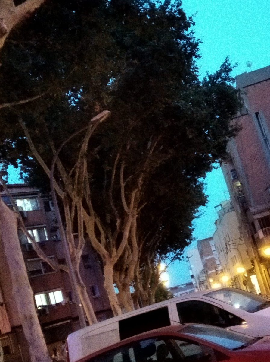 StRocSomBDN's tweet photo. 5ena nit consecutiva amb les faroles apagades al C/ Primavera d #SantRoc #ElRemei #Badalona Algú farà alguna cosa? @AjBadalona @Endesa https://t.co/rkvzWxL4kG