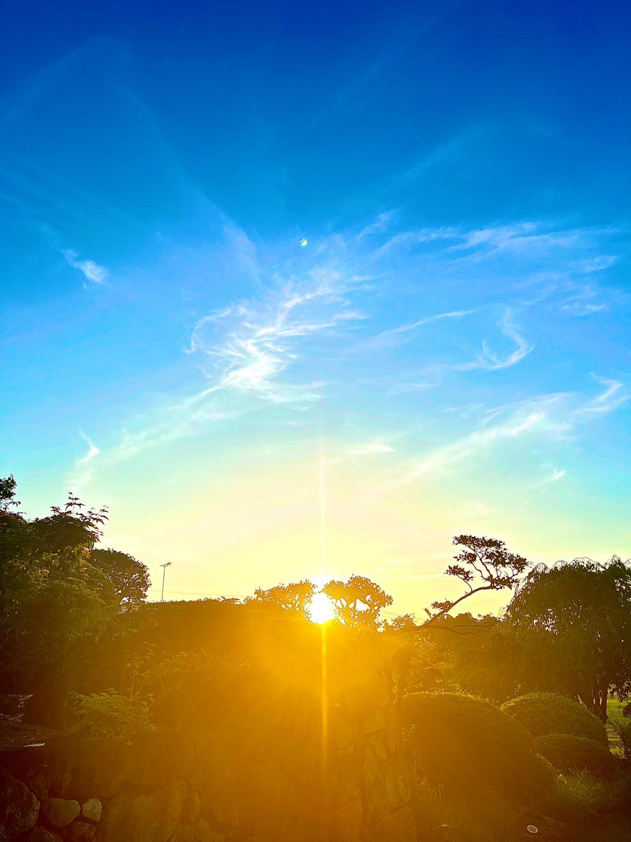 鳳凰雲🍀

#イマソラ #アサソラ #朝空