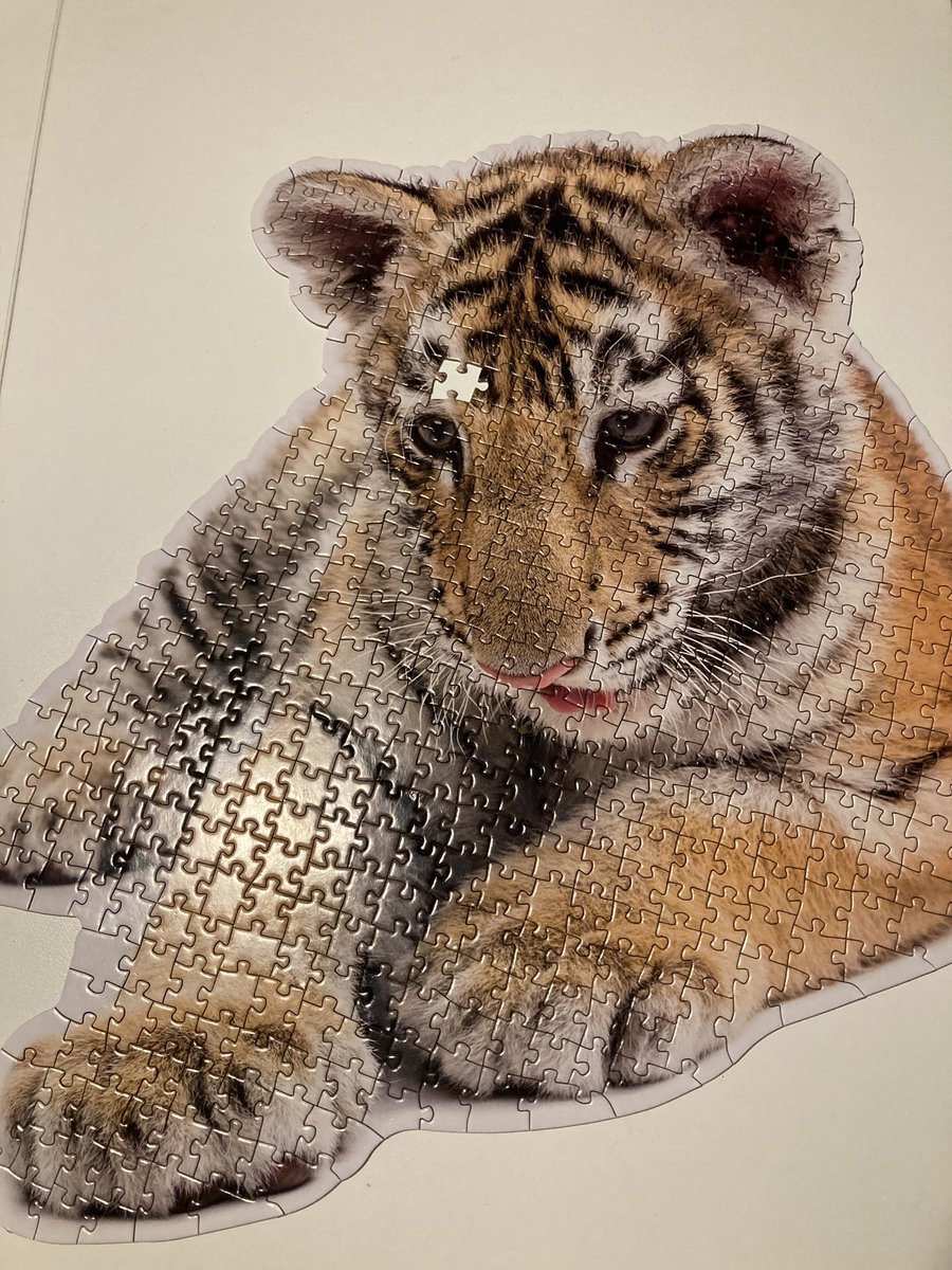 OutsiderMel's tweet photo. Hij is eindelijk af maar argh! Krijg je he, als je een puzzel in de aandieding koopt... 😭 https://t.co/46oxe9dRhB