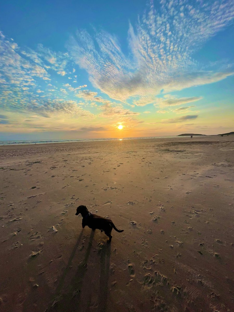 Diamondzgirl's tweet image. Evening vibes after work #freetherapy 🥰