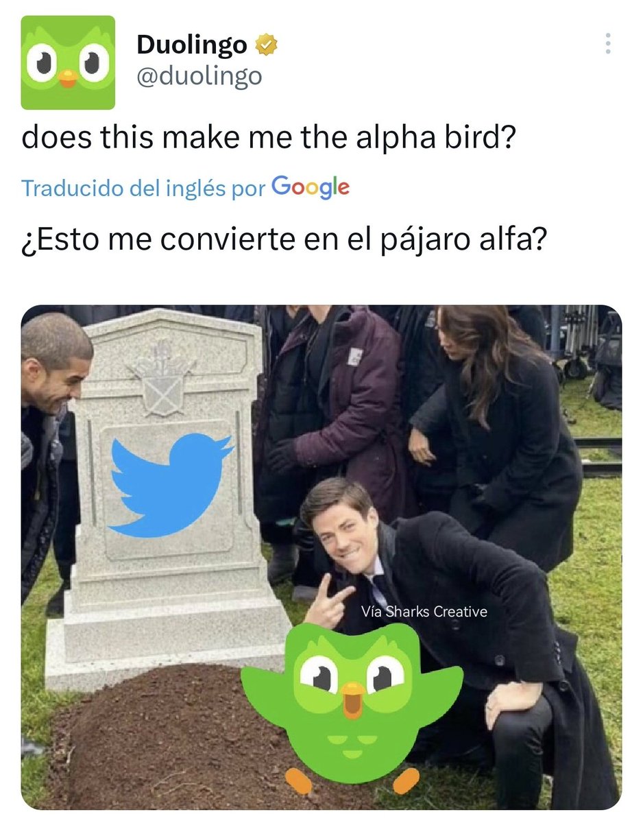 -Elon Musk anuncia que desaparecerá el pajarito azul de #Twitter. 🐦

*El tío Duolingo en automático. 🦜

#TwitterX