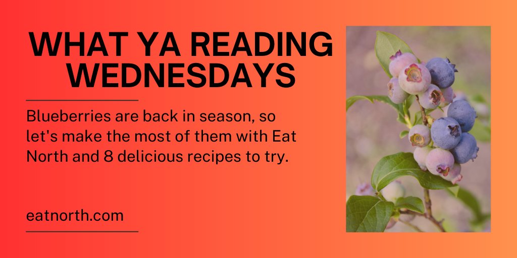 What are you reading? This week for #WhatYaReadingWednesday, we're checking out @eatnorth and #blueberries as they take us through 8 delicious blueberry recipes to try this summer! tinyurl.com/mrykzh8w
⁠
#EatNorth #AlbertaMagazines #AMPA #Magazines #Recipes