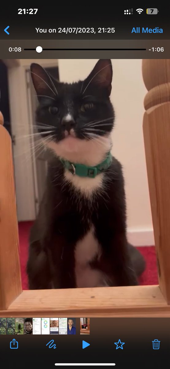 Considering I have a microchip activated cat flap I’m not sure how #notmycat has managed to sneak in.