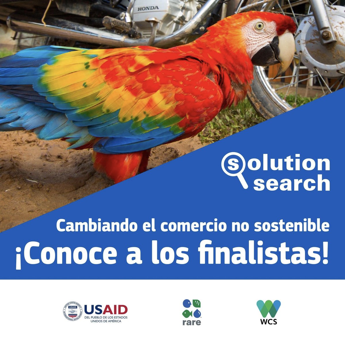 WCSColombia's tweet photo. 🙌 Conoce a los 10 finalistas de #SolutionSearch: Cambiando el comercio no sostenible y vota diariamente por tu favorito 👉 https://t.co/Rur74bs1f0
#ConservandoJuntos
#JuntosPorLaVidaSilvestre #AREP https://t.co/ORyF5WZcKb