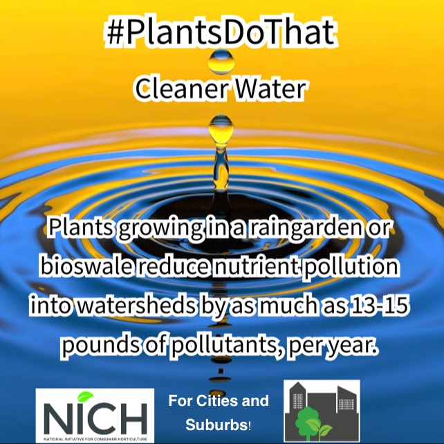 consumerhort's tweet photo. What do plants do for water in your city or community? Show us your community plants.
#plantsdothatforwater
#plantsdothat
#plantsmakepeoplehappy
#plants
#environmentalawareness https://t.co/yFXZmXIh7H