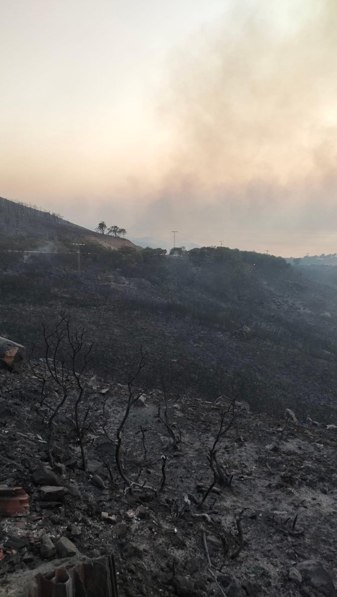 Amirabe78170000's tweet photo. It was a forest. Now it's only ashes 😔💔
What a sad day!
© Photos Alexandre Rekik
#Tunisie #fireforest #maaloula https://t.co/7cTGK8f8Ii