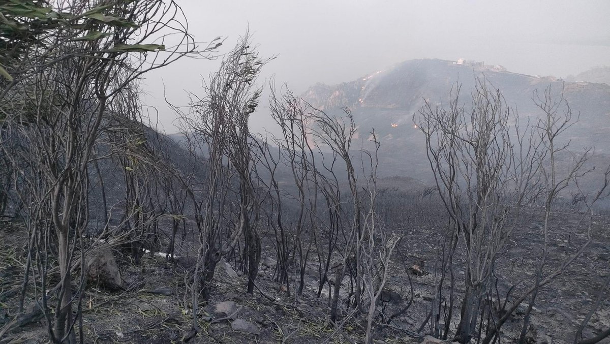 Amirabe78170000's tweet photo. It was a forest. Now it's only ashes 😔💔
What a sad day!
© Photos Alexandre Rekik
#Tunisie #fireforest #maaloula https://t.co/7cTGK8f8Ii