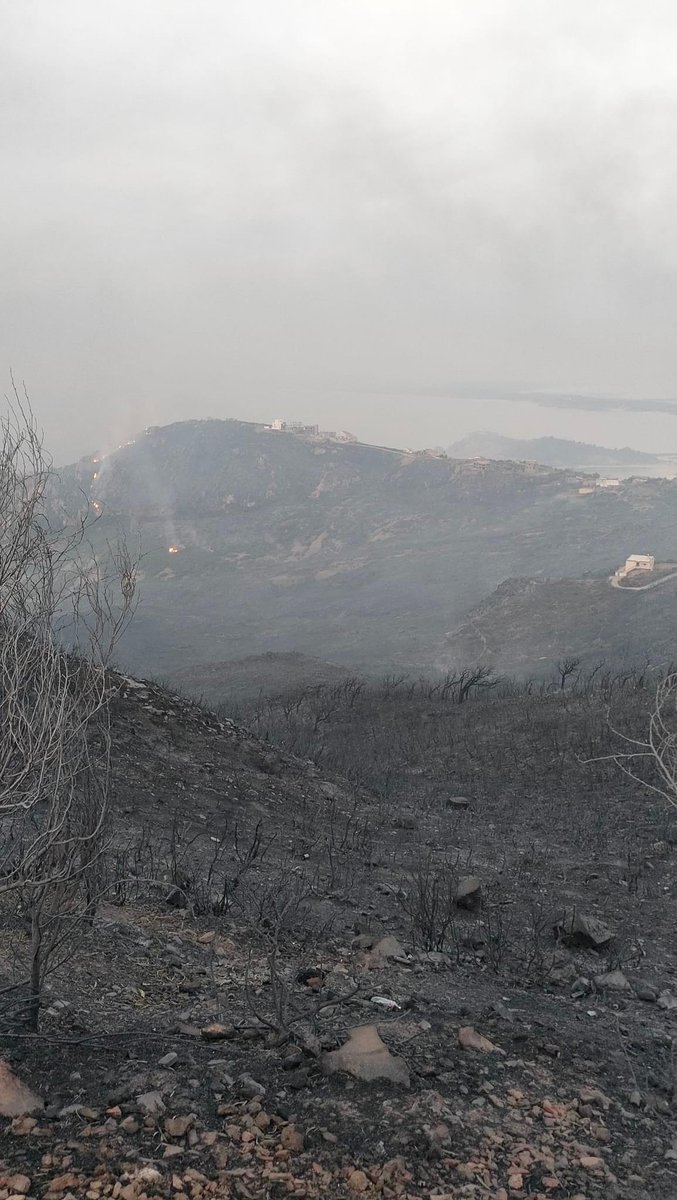 Amirabe78170000's tweet photo. It was a forest. Now it's only ashes 😔💔
What a sad day!
© Photos Alexandre Rekik
#Tunisie #fireforest #maaloula https://t.co/7cTGK8f8Ii