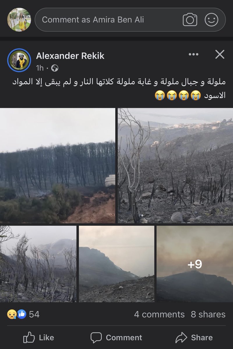 Amirabe78170000's tweet photo. It was a forest. Now it's only ashes 😔💔
What a sad day!
© Photos Alexandre Rekik
#Tunisie #fireforest #maaloula https://t.co/7cTGK8f8Ii