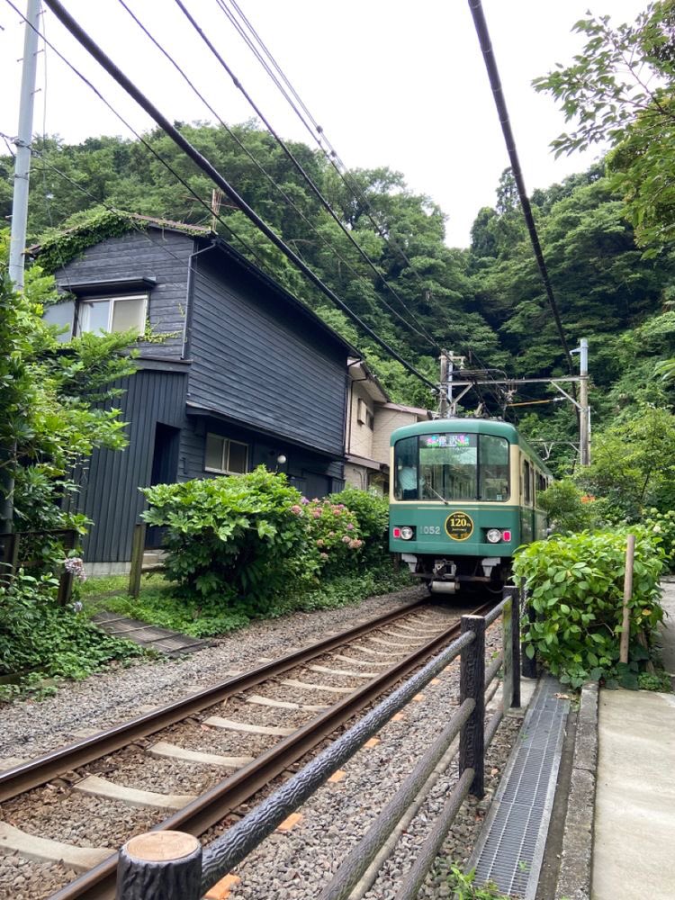 lassybees's tweet photo. living in japan 🇯🇵🤍 https://t.co/bGm1Tk7soc