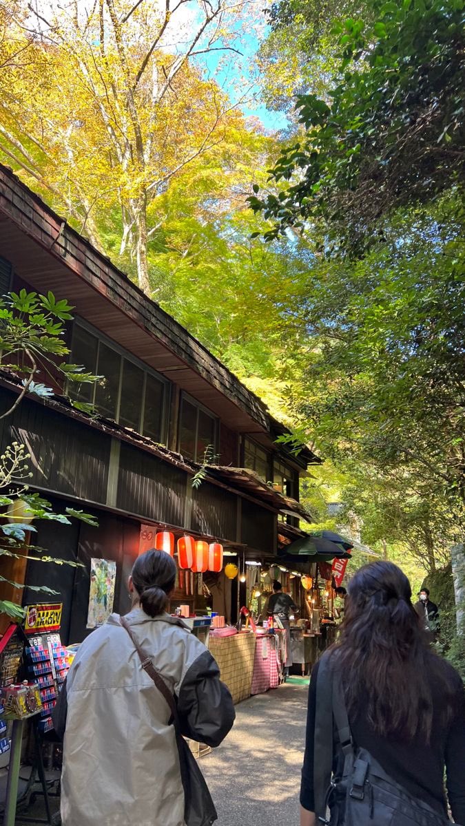 lassybees's tweet photo. living in japan 🇯🇵🤍 https://t.co/bGm1Tk7soc