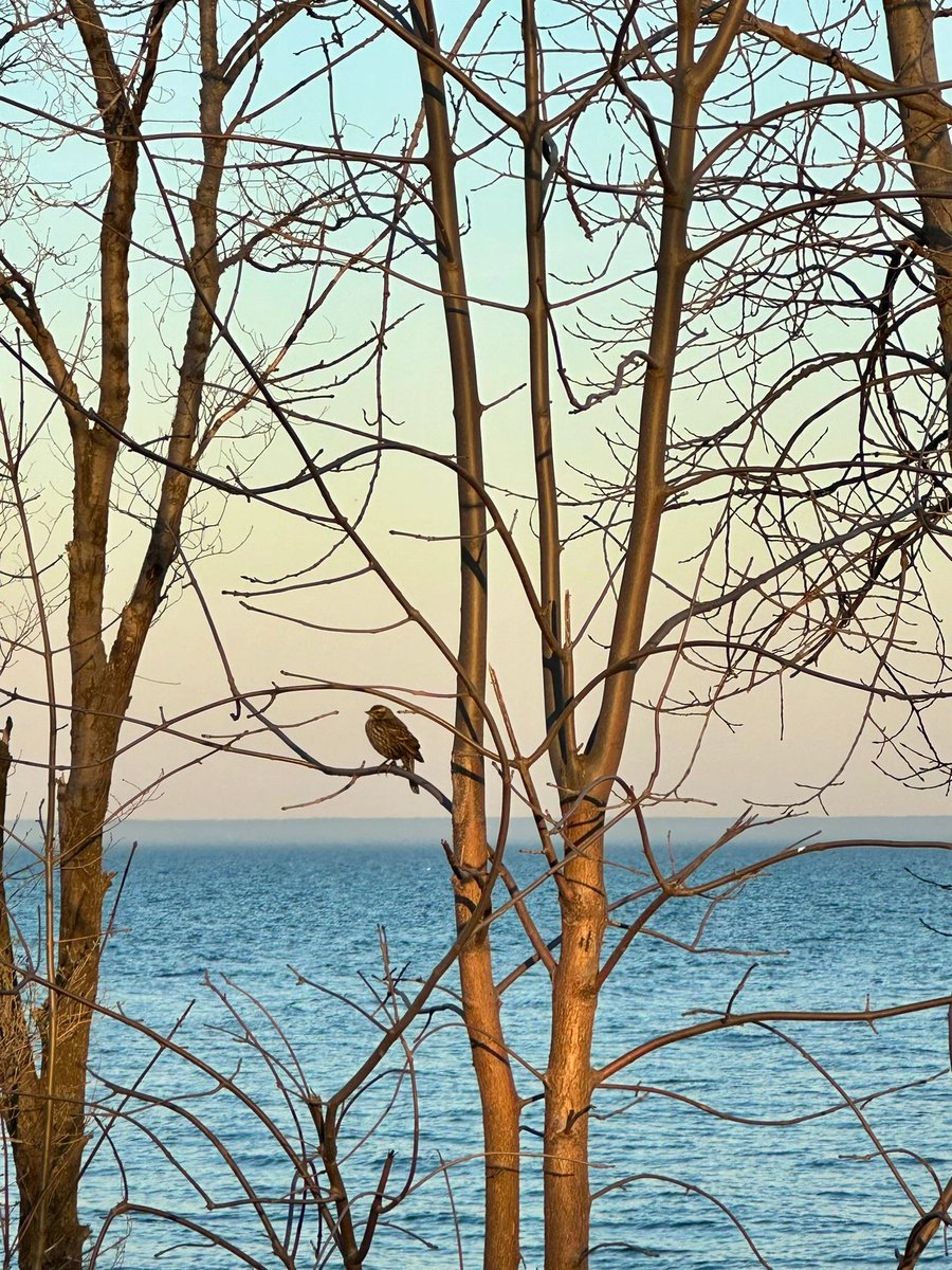 inezpu3's tweet image. 