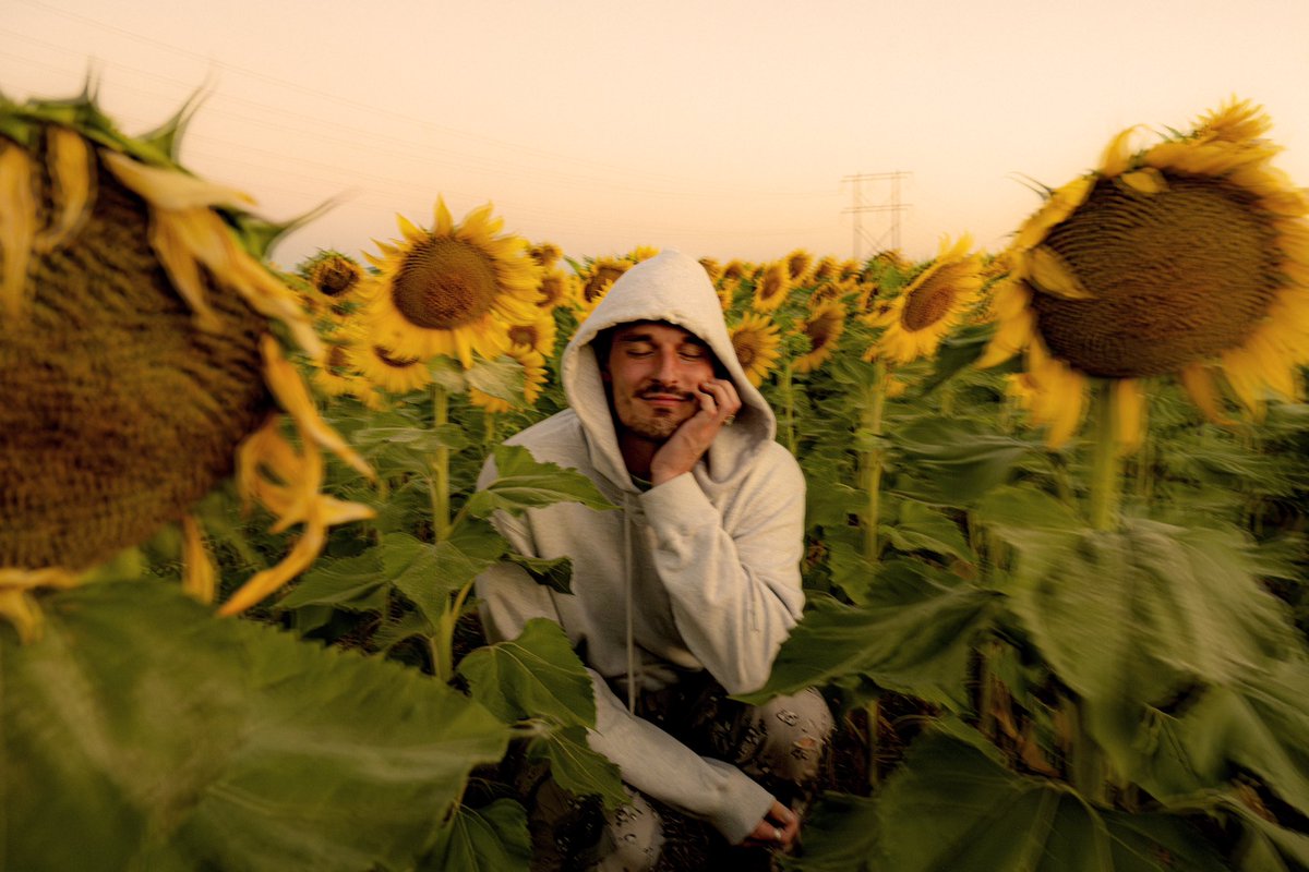 Griz's tweet photo. daydream https://t.co/K6c0S7Xflo