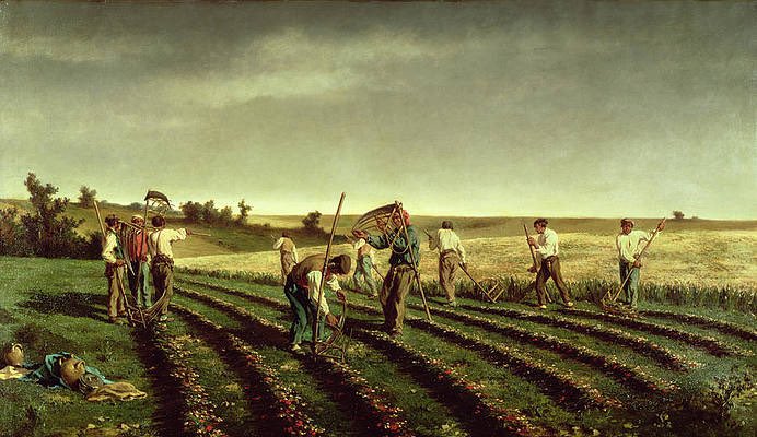 Nokoo 🇻🇦 tweet media