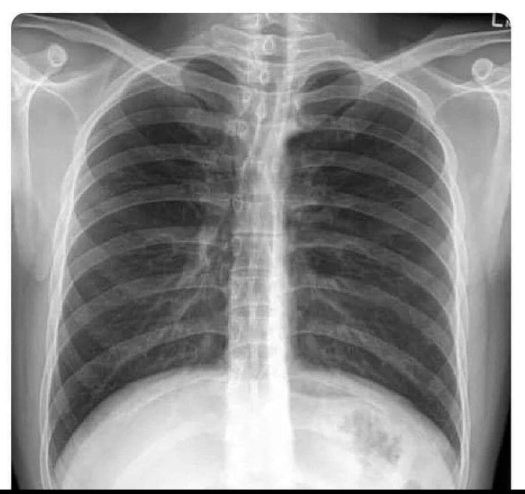 Honourable Ratshabedi tweet media