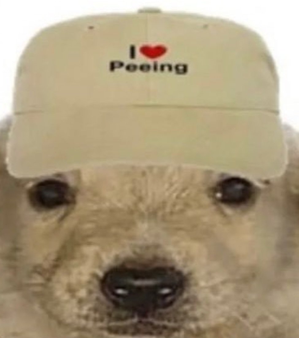 vibin_dot_com's tweet photo. @fwint3r https://t.co/V00LctZaTX