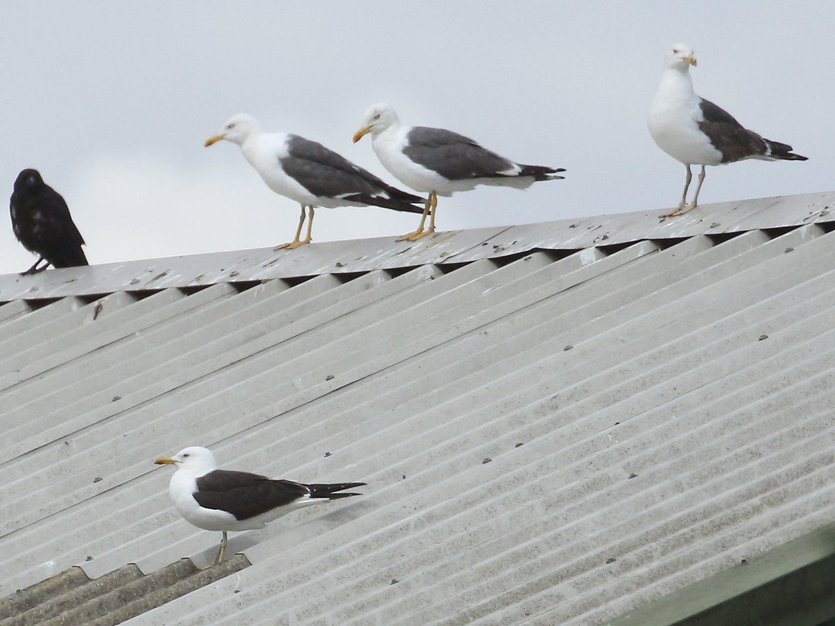 Andy Deighton tweet media