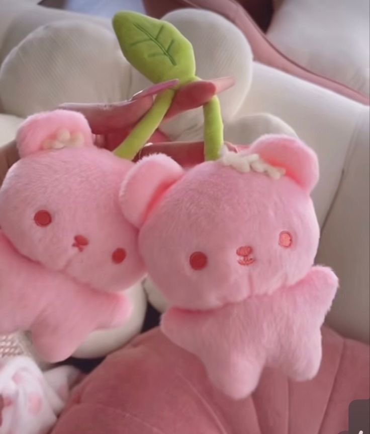 cherry bears 🎀