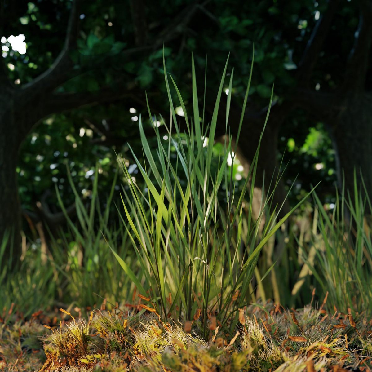 @tanjalanggner is putting her work in the spotlight with this captivating close-up.

#gscatter #graswald #madewithgraswald #artists #showcase #picoftheday #nature #art #naturerender #environmentart #digitalart #3dart #blender3d #blendercycles