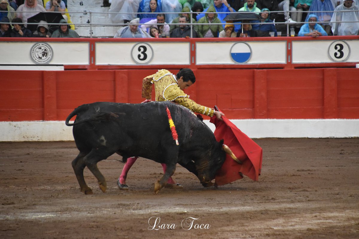 burladerotv's tweet photo. Fotogalerรญa de la 4ยช de Feria en #Santander, por @LaraToca @lancesdefuturo #Santiago @PacoGalache @juanortegapr @urdialesweb @InfoDanielLuque #Galache @aitor_vian https://t.co/rJ46aVUrmr https://t.co/TlF1f1YXeA
