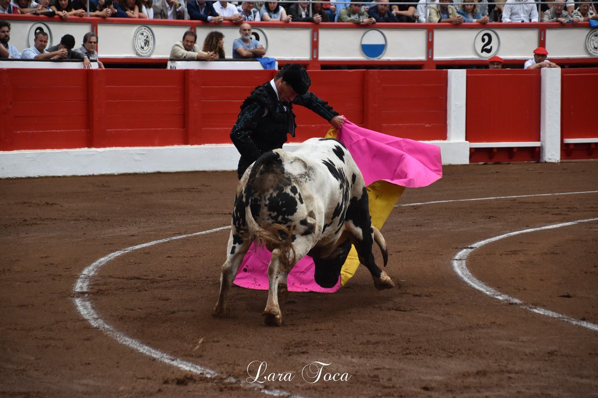 burladerotv's tweet photo. Fotogalerรญa de la 4ยช de Feria en #Santander, por @LaraToca @lancesdefuturo #Santiago @PacoGalache @juanortegapr @urdialesweb @InfoDanielLuque #Galache @aitor_vian https://t.co/rJ46aVUrmr https://t.co/TlF1f1YXeA