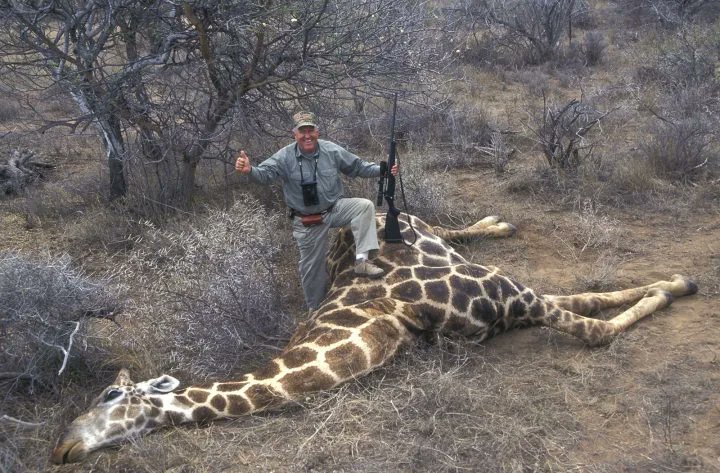 'Well done. You managed to shoot a stationery, 14 foot peaceful creature with a high velocity rifle. Very sporting!' ~ @RickyGervais. RT if you want a WORLDWIDE ban on #trophyhunting.