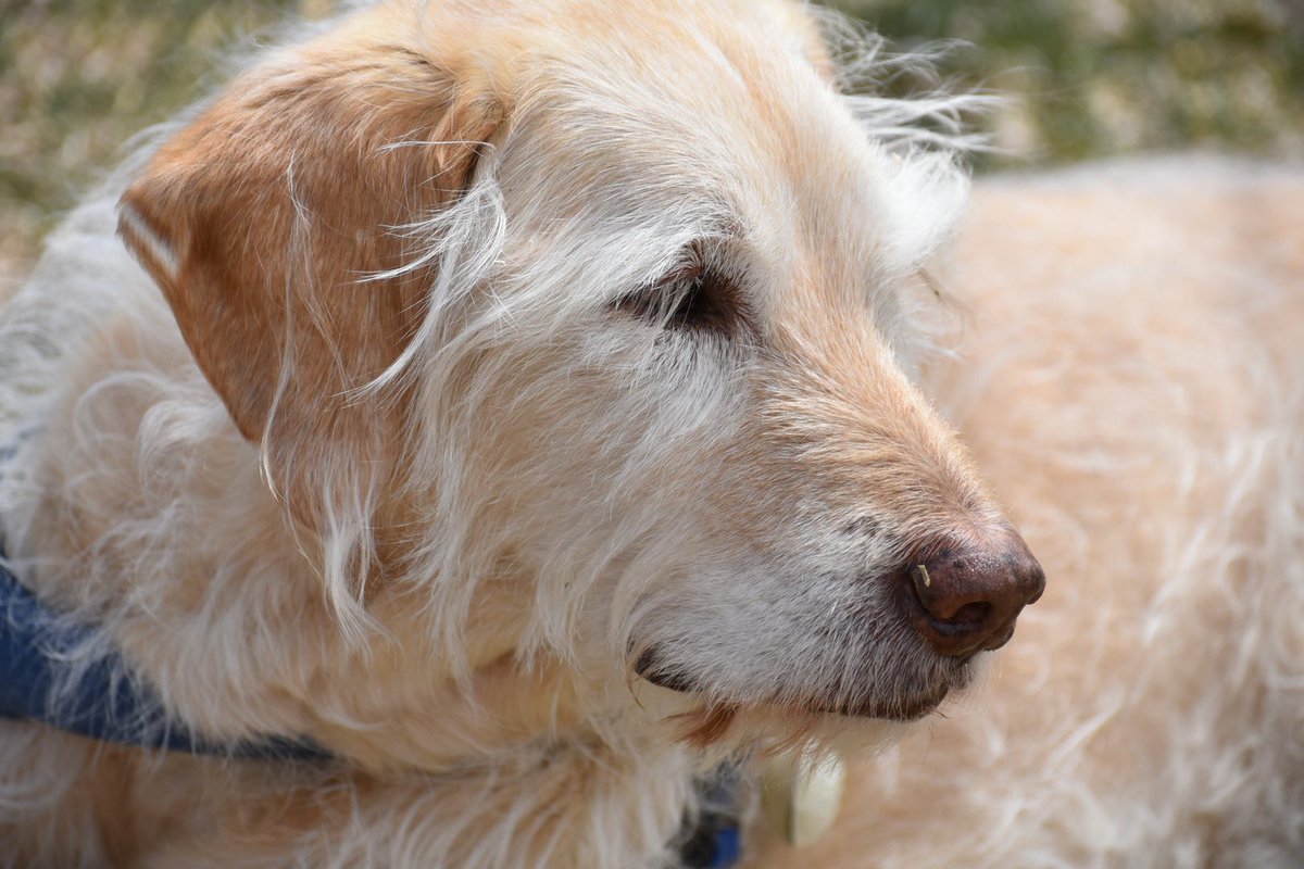 Nord-on-Ice tweet media