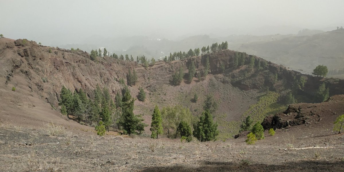 PeguiMariana's tweet photo. 📍Caldera de Los Pinos de Gáldar 🌲
Gran Canaria https://t.co/E8NElUtPjj