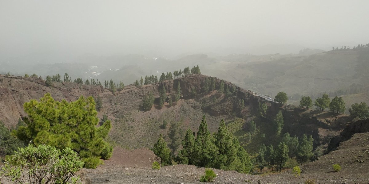 PeguiMariana's tweet photo. 📍Caldera de Los Pinos de Gáldar 🌲
Gran Canaria https://t.co/E8NElUtPjj