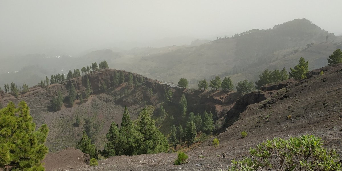 PeguiMariana's tweet photo. 📍Caldera de Los Pinos de Gáldar 🌲
Gran Canaria https://t.co/E8NElUtPjj