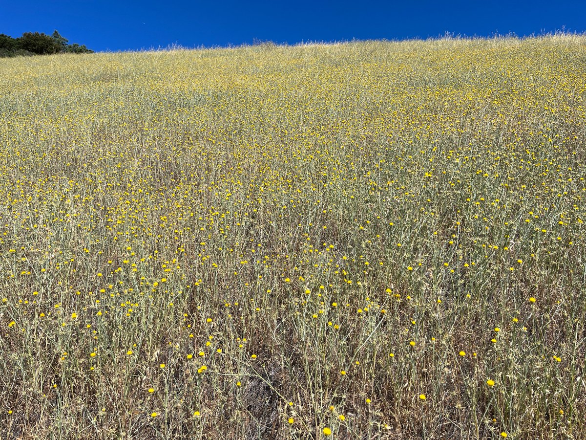 Jonathan Crowther 🚂 tweet media