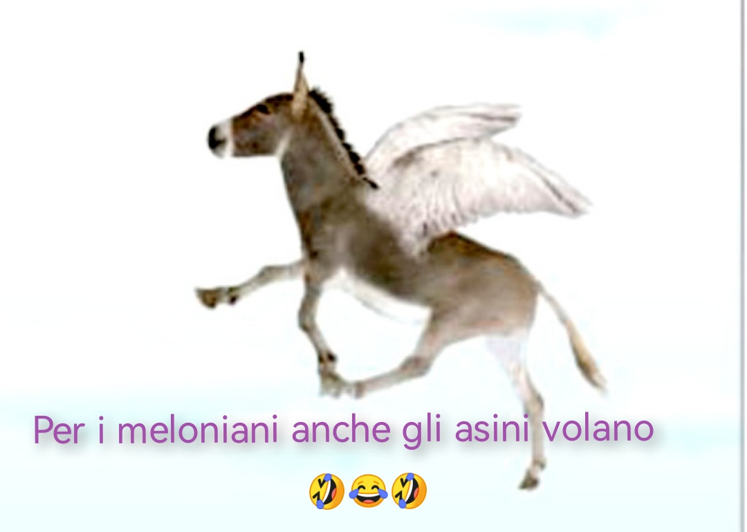 allenatorebis's tweet photo. @ChrisRicchiuti Crescono pure gli #asini che #volano 🤣🤣🤣
#Meloni e l'effetto #Sanchez 😂😂😂 https://t.co/YwQTHssnNo