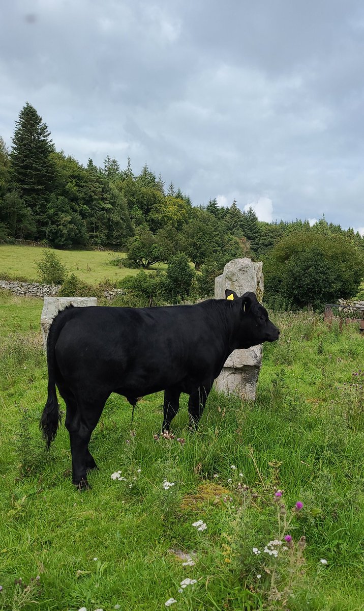 I do put this lad in at night so he doesnt cause too much climate change
