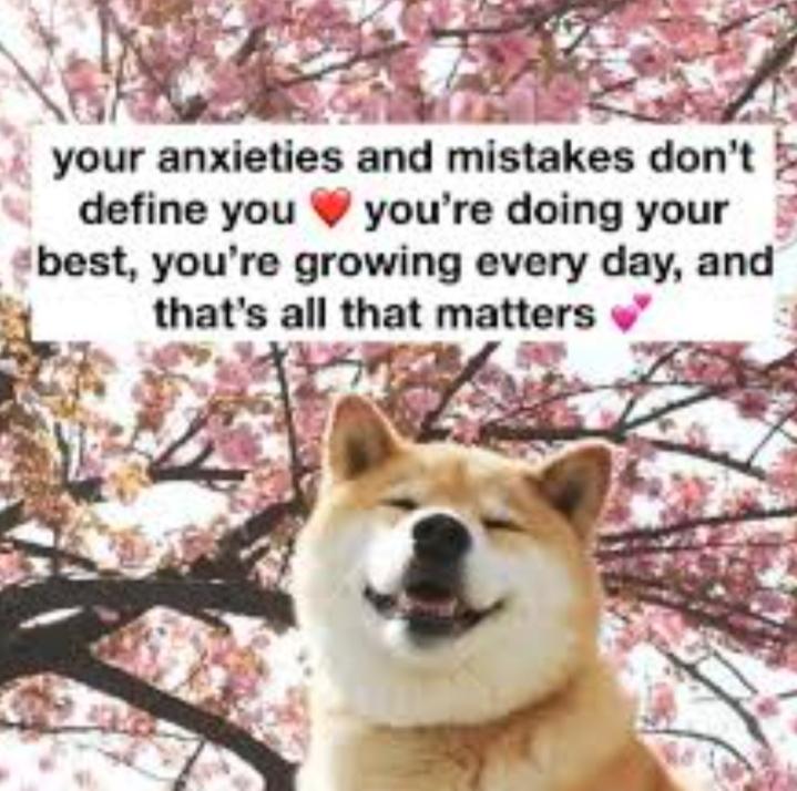 WholesomeMeme's tweet photo. https://t.co/SMiYw1sb5c