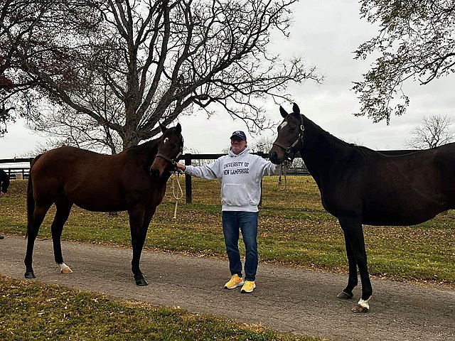 BloodHorse tweet media