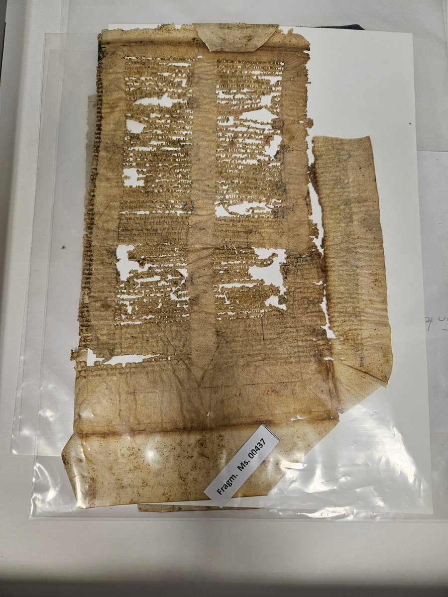 CourtneyVdM's tweet photo. Who doesn't like the smell of old manuscripts in the morning? Magnificent start of the Digital Palaeography Summer School in Göttingen! #PalaeographySchool23 #goldenoldies #thegoodthebadandtheugly https://t.co/IooXpjZD51