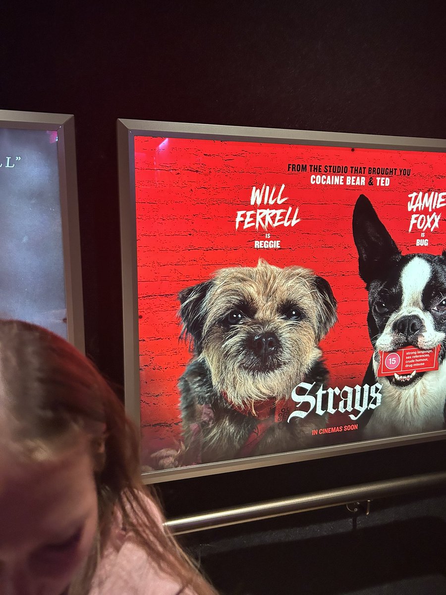 Mum went to see Barbie tonight but apparently she’s going back to see Strays when it comes out about a gullible BT called Reggie. Gullible? BT’s? How very dare they!