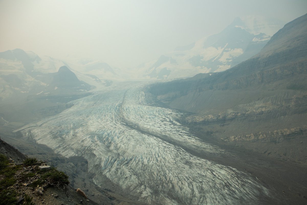 @wildco.bsky.social on Bluesky tweet media