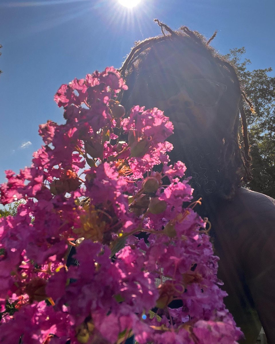 HEHIII's tweet image. Loving these blooms in the backyard🌺
🌸
#flowers #plants #backyardshenanigans #nature #bloom #blessed #sunshine #explorepage #picoftheday
